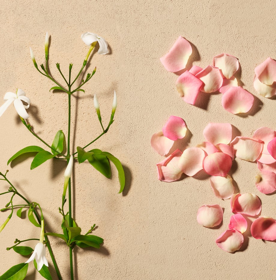 Image of a plant on the left and rose petals.png